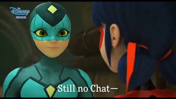 Just Another Miraculer Chat Blanc Theory So The Last Few