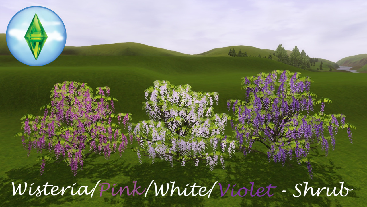 wisteria the sims 3 tumblr