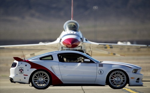 aerophotography:GT500 w/ Thunderbird. 