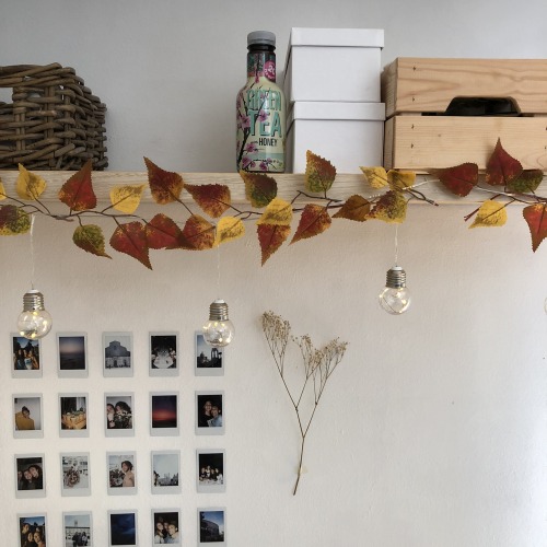 ansiadeldomani:It’s Autumn and I have to decorate my room 