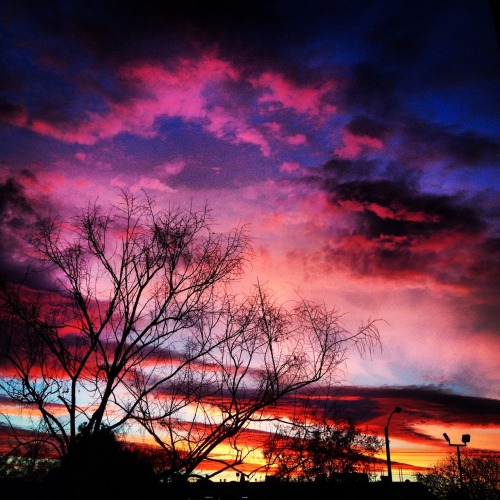 san-fernando-valley