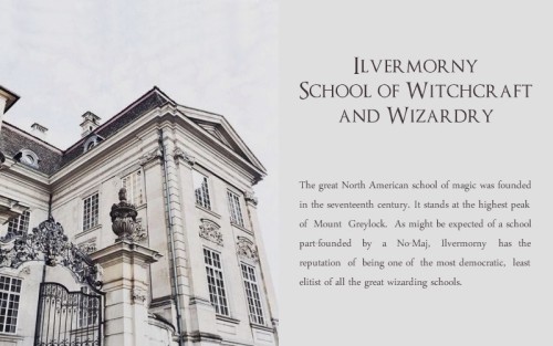 black-doe:WIZARDING SCHOOLS AROUND THE WORLD