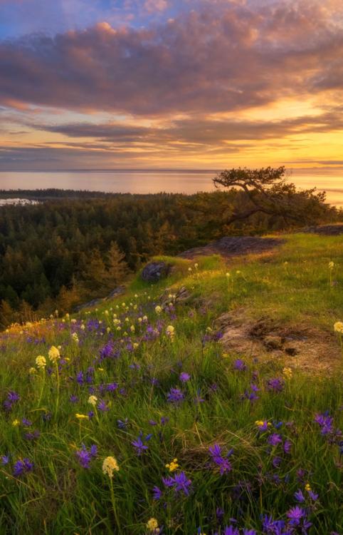 landscape-lunacy:Deception Pass, WA - by Erwin Buske