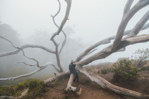 Mt. Davidson View on Flickr(Source: SamAlive)