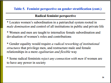 gail dines tumblr feminist feminism liberal differences lecturer radical gave gender studies basic above between university class