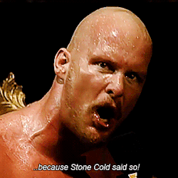 Image result for because stone cold said so animated gif