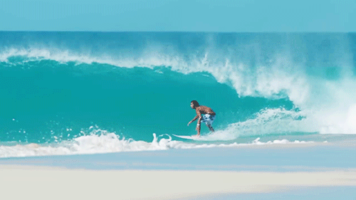 SURF-DANCER
