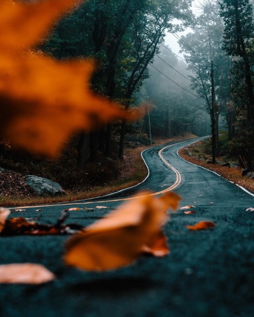 country road on Tumblr