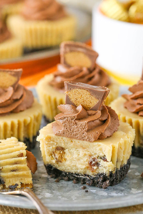 foodffs:MINI REESES PEANUT BUTTER CHEESECAKESFollow for...