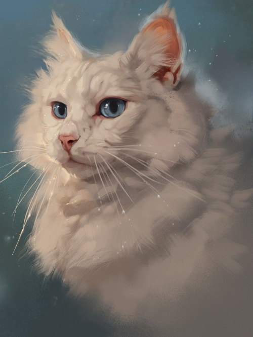 shrimpu-art