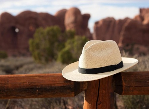 Hands down the Ultimate Travel Hat: The Fedora Packable. A...