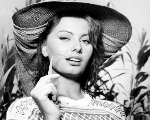 sabanasblancasuniverse:Sophia Loren (imagen)  