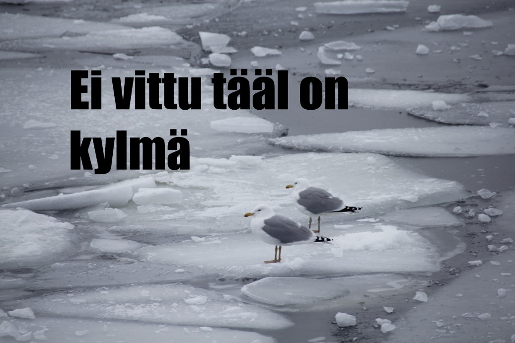 kuuma Ebony tyttöjen pillua