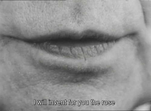 365filmsbyauroranocte:Elsa la rose (Agnès Varda, 1966)