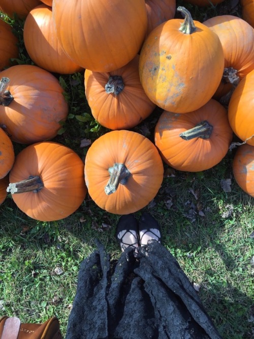 floralwaterwitch:Pumpkin picking with my pumpkin 