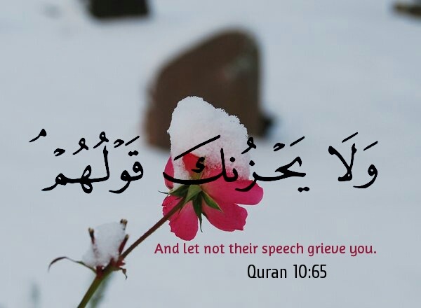 so let not their speech grieve you meaning in urdu