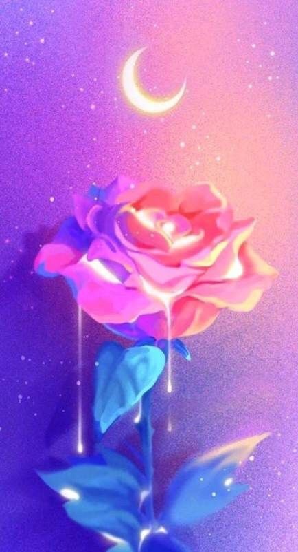pink rose  on Tumblr