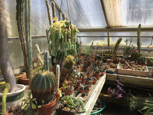 photography garden greenhouse nature horticulture mine personal exploring