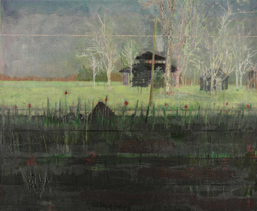 sesiondemadrugada:Peter Doig.