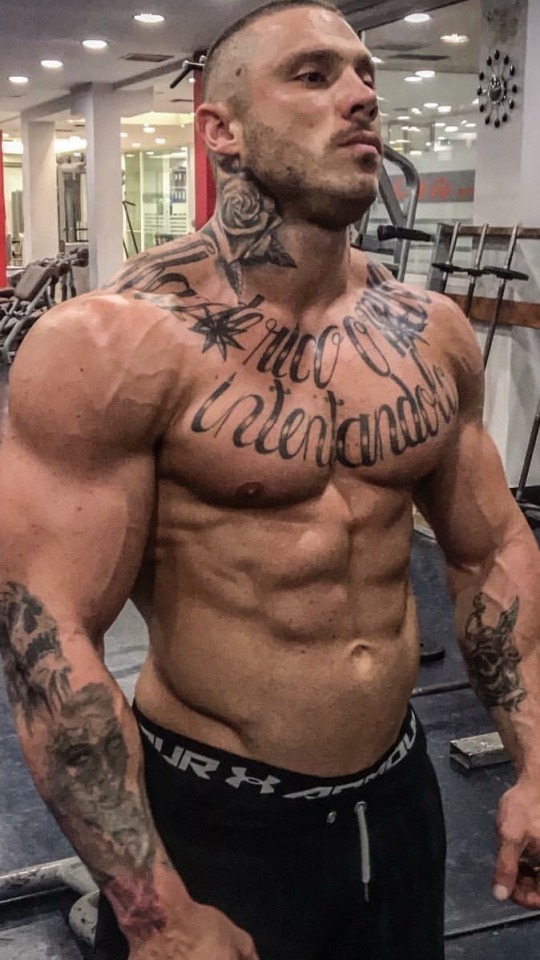 Muscle bitches fucking Muscle bitches fucking