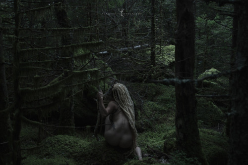 rottedghoul:ysambre-fauntography:Dead nymphs ~ © Ysambre...