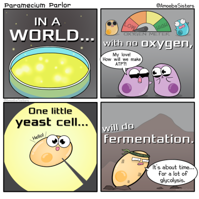 Yeast And Science Tumblr