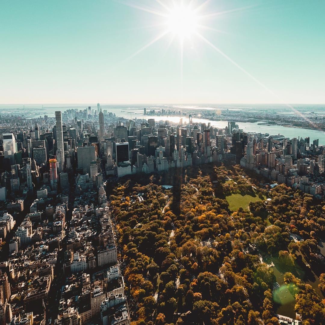 Central Park from above by Paul Seibert Photography @nyonair @FlyNYON