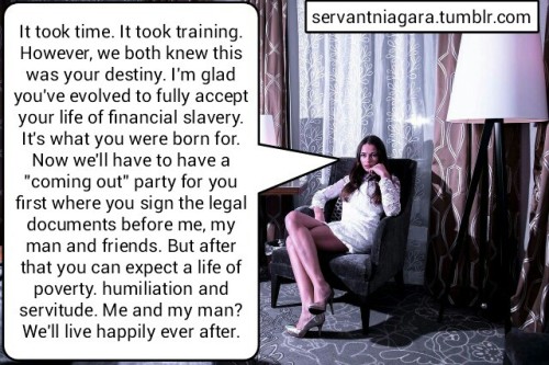 Financial Domination Stories 31