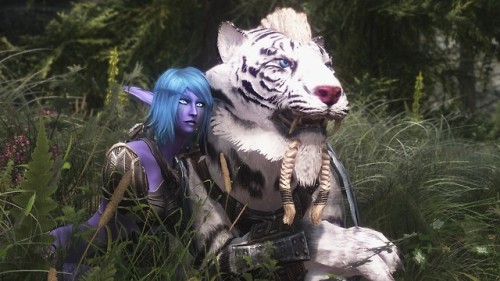 beaterbomb:Night Elf Ferrah, what should I say ,,,...