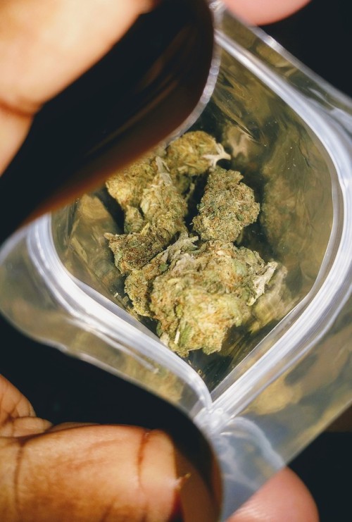 black-stoners:Girl Scout Cookies in Golden