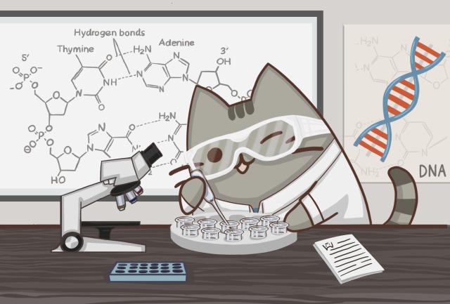 Art by Kelly Stanford - Science Pusheen For the past year ...