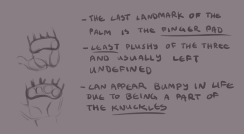 myshrinkingviolet:Someone requested a hand tutorial, so I...