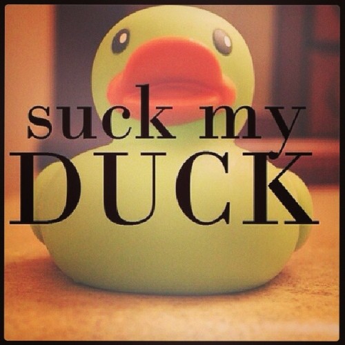 Ever felt like telling someone this? #qwak #duck...