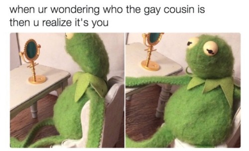 rose-queer:Have any gay people in your family?