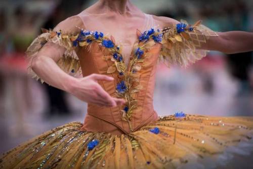 tutu-fangirl:Artists of The Australian Ballet in The Sleeping...