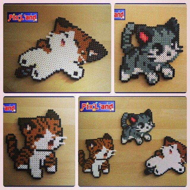 tes slam jam's perler parlor — Chibi cats hama perler beads by pixland