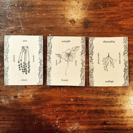 EDIT: one deck left to be claimed!! Comment below or message me to snag it 👀 . . . Baby’s first tarot spread! Past / present /...