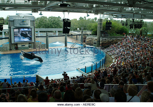 SeaWorld Orlando Shamu Stadium, 1984, 1995*,... - the whale pool