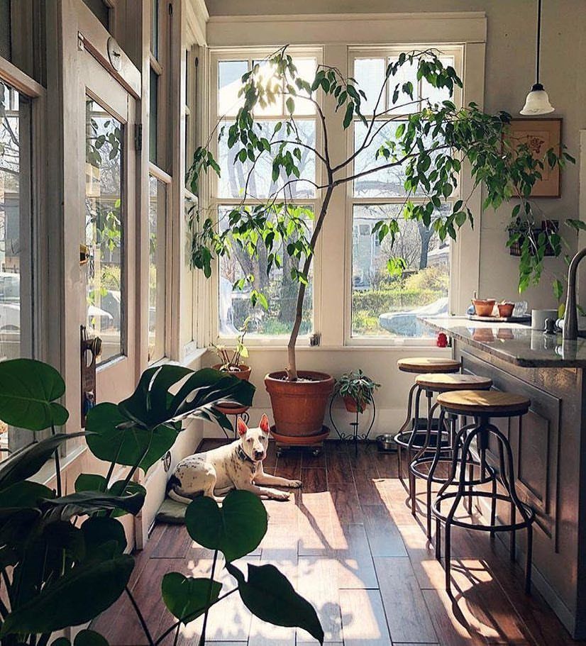 kitchen-goals