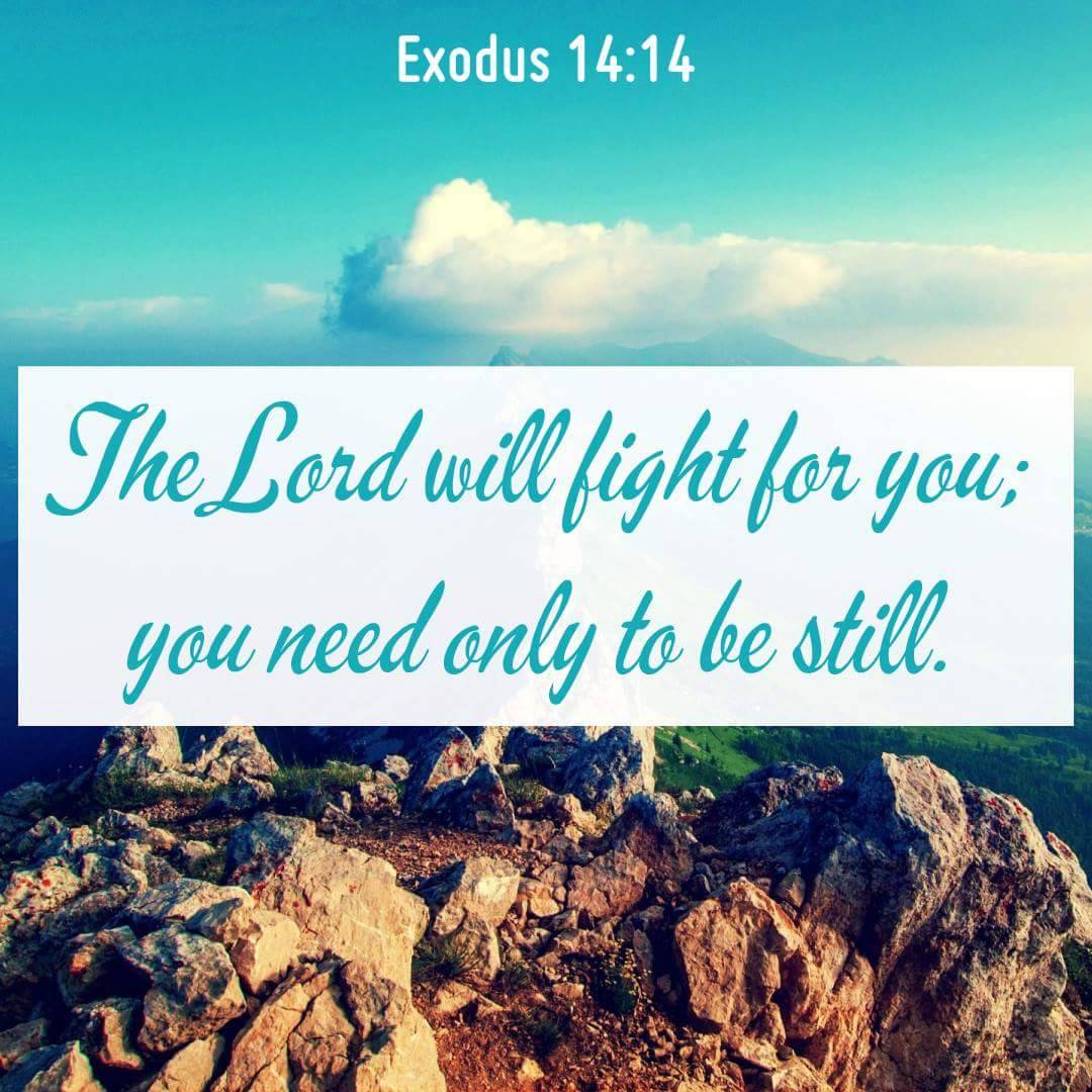 The Living Exodus 14 14 NIV The LORD Will Fight For You 