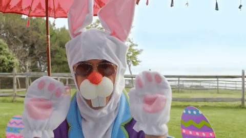 Honey Bunny Gif Tumblr