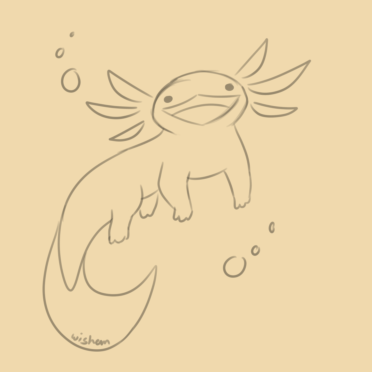 Axolotl Drawing Easy How To Draw An Axolotl Step By Step Easy Easy Images