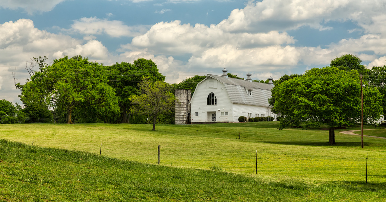 Walking About With Jim Dollar Dairy Barn Panorama 2015 01 Anne