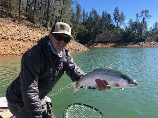 Fishing - Shasta Lake Trout Fishing is Very Good!