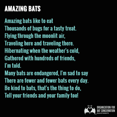 Image result for tasty bats?