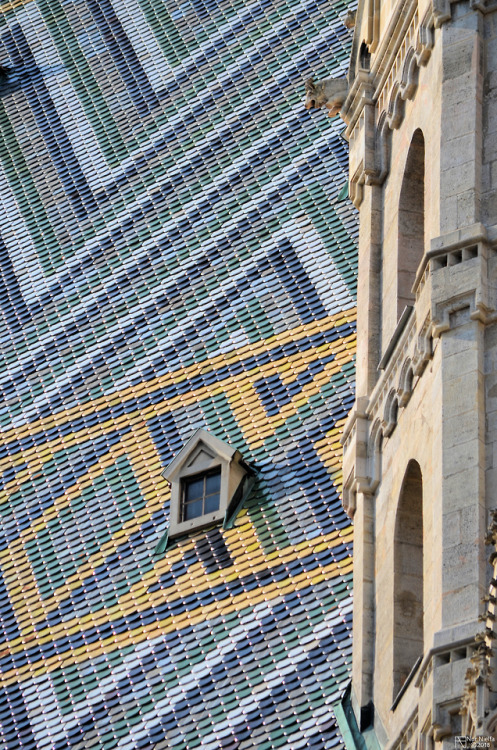 Stephansdom, Wien.©Nur Nielfa 2018. All Rights Reserved....