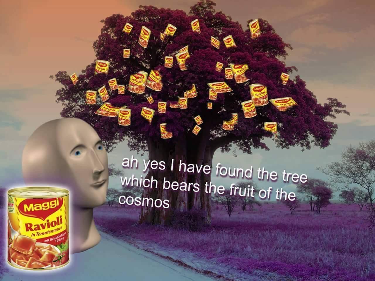 Meme man find the fruit
