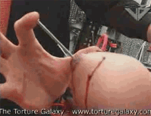 torture Gigantic boob
