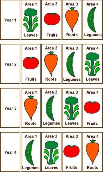Crop Rotation Made Simple - Rotate Your Vegetable... - DIY Gardening