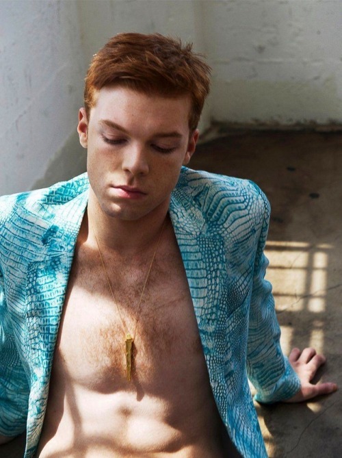 Cameron Monaghan shameless shameless us ian gallagher mercy street gotham the giver amityville